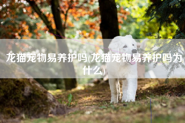 龙猫宠物易养护吗(龙猫宠物易养护吗为什么)