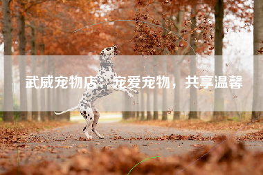 武威宠物店：宠爱宠物，共享温馨