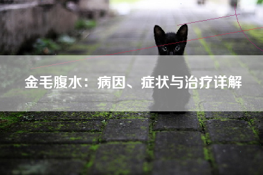 金毛腹水：病因、症状与治疗详解