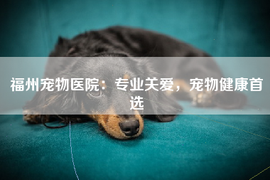 福州宠物医院：专业关爱，宠物健康首选