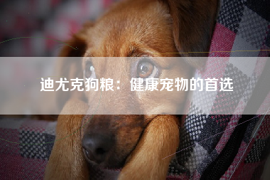 迪尤克狗粮：健康宠物的首选