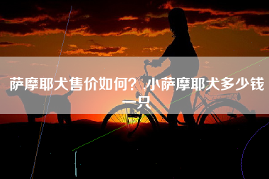 萨摩耶犬售价如何？,小萨摩耶犬多少钱一只
