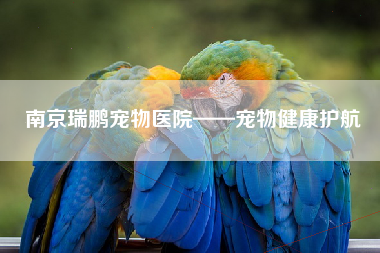 南京瑞鹏宠物医院——宠物健康护航
