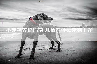小宠物养护指南;儿童养什么宠物干净