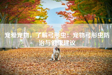 宠爱宠物，了解弓形虫：宠物弓形虫防治与健康建议