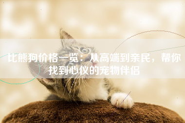 比熊狗价格一览：从高端到亲民，帮你找到心仪的宠物伴侣