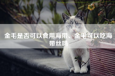 金毛是否可以食用海带、金毛可以吃海带丝吗