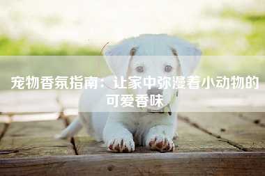 宠物香氛指南：让家中弥漫着小动物的可爱香味