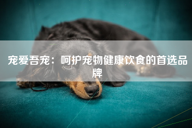宠爱吾宠：呵护宠物健康饮食的首选品牌