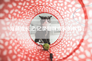 宠萌成长记(记录猫咪成长的软件)
