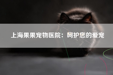 上海果果宠物医院：呵护您的爱宠