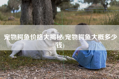 宠物鳄鱼价格大揭秘(宠物鳄鱼大概多少钱)
