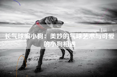 长气球编小狗：美妙的气球艺术与可爱的小狗相遇