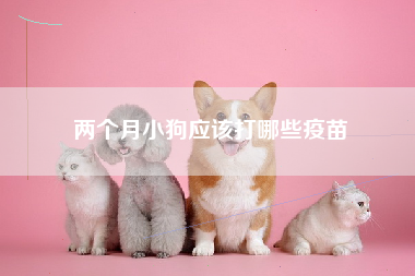 两个月小狗应该打哪些疫苗
