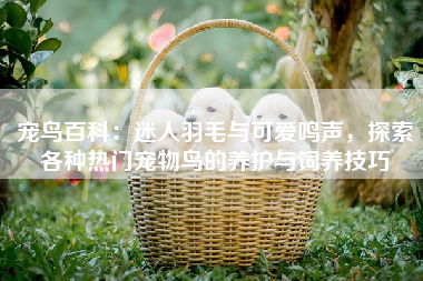 宠鸟百科：迷人羽毛与可爱鸣声，探索各种热门宠物鸟的养护与饲养技巧