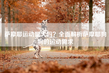 萨摩耶运动量大吗？全面解析萨摩耶狗狗的运动需求