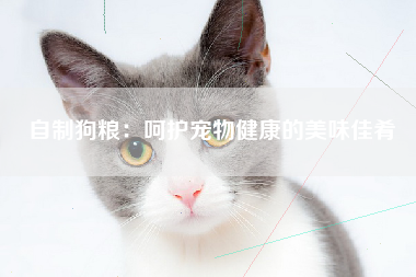 自制狗粮：呵护宠物健康的美味佳肴