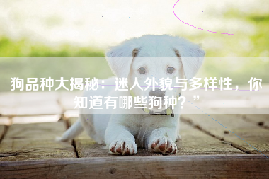 狗品种大揭秘：迷人外貌与多样性，你知道有哪些狗种？”