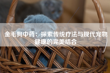 金毛狗中药：探索传统疗法与现代宠物健康的完美结合