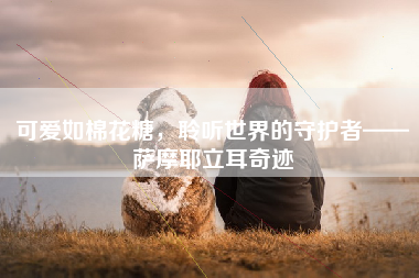 可爱如棉花糖，聆听世界的守护者——萨摩耶立耳奇迹