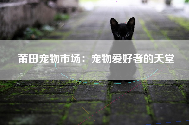 莆田宠物市场：宠物爱好者的天堂