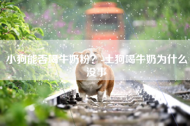 小狗能否喝牛奶粉？-土狗喝牛奶为什么没事