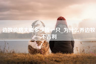 边牧价格大概多少钱一只_为什么养边牧不吉利