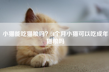 小猫能吃猫粮吗？,4个月小猫可以吃成年猫粮吗
