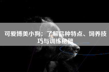 可爱博美小狗：了解品种特点、饲养技巧与训练秘籍