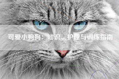 可爱小狗狗：知识、护理与训练指南