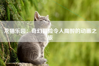 龙猫乐园：奇幻冒险令人陶醉的动画之旅