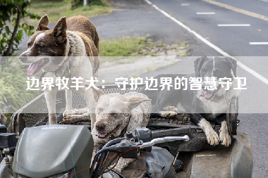 边界牧羊犬：守护边界的智慧守卫