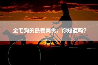 金毛狗的最爱美食，你知道吗？