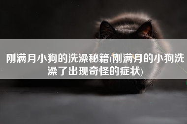 刚满月小狗的洗澡秘籍(刚满月的小狗洗澡了出现奇怪的症状)
