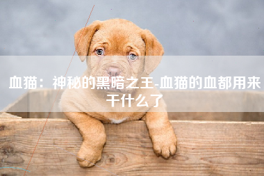血猫：神秘的黑暗之王-血猫的血都用来干什么了