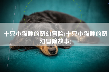 十只小猫咪的奇幻冒险(十只小猫咪的奇幻冒险故事)