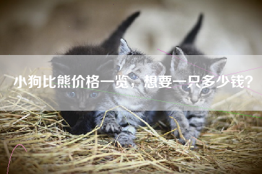 小狗比熊价格一览，想要一只多少钱？