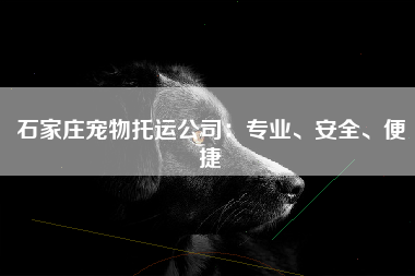 石家庄宠物托运公司：专业、安全、便捷