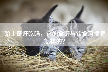 哈士奇好吃吗，它的食谱与饮食习惯是怎样的？
