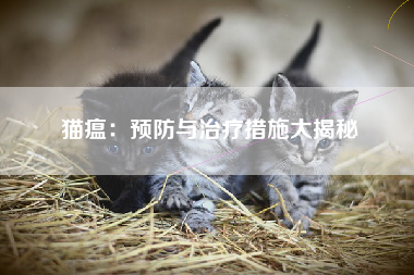 猫瘟：预防与治疗措施大揭秘