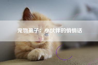宠物虱子：小伙伴的悄悄话