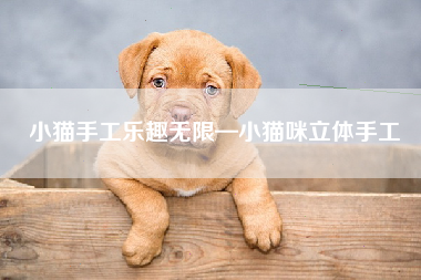 小猫手工乐趣无限—小猫咪立体手工