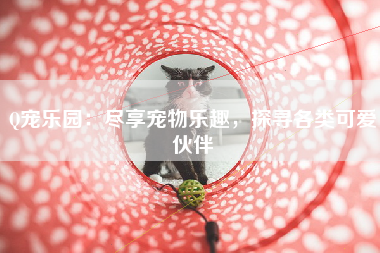 Q宠乐园：尽享宠物乐趣，探寻各类可爱伙伴
