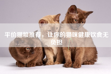 平价猫粮推荐，让你的猫咪健康饮食无负担