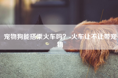 宠物狗能搭乘火车吗？-火车让不让带宠物