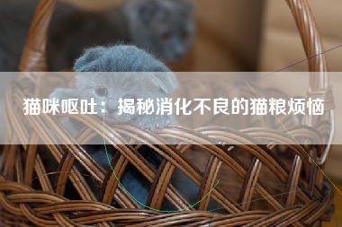 猫咪呕吐：揭秘消化不良的猫粮烦恼