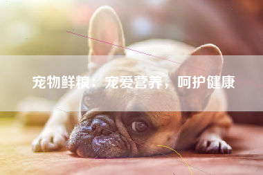 宠物鲜粮：宠爱营养，呵护健康