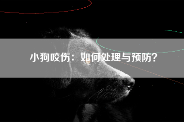 小狗咬伤：如何处理与预防？