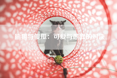 熊猫与傻瓜：可爱与愚蠢的对决