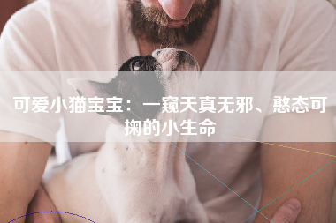 可爱小猫宝宝：一窥天真无邪、憨态可掬的小生命